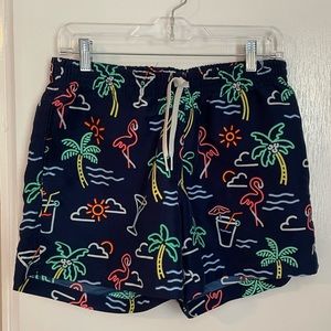 Mens Chubbies Swim Trunks